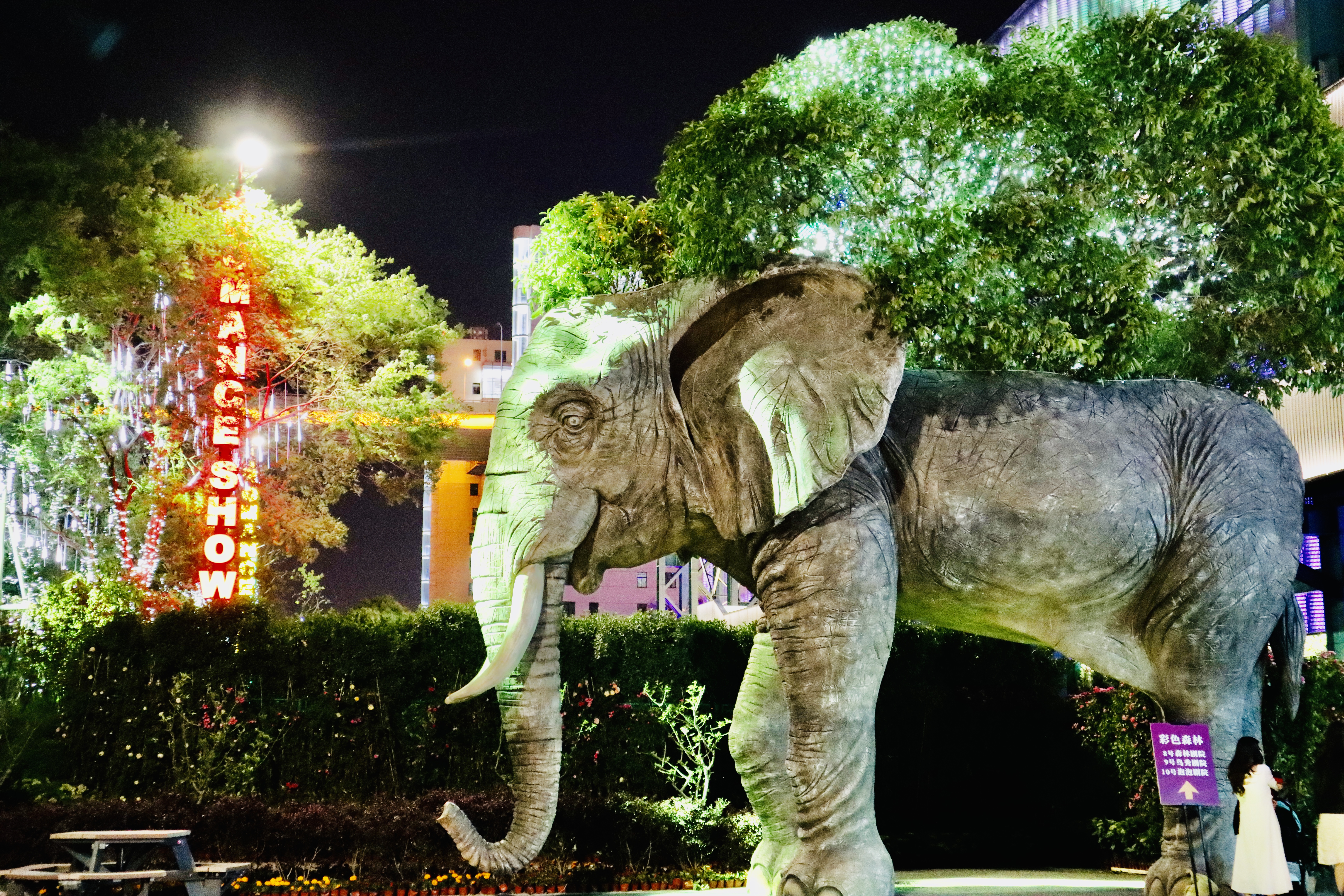 五一假期一路向南,江南宋城一日游