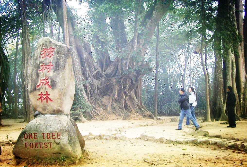 云南省德宏州瑞丽市一寨两国景点,云南瑞丽一寨两国风景