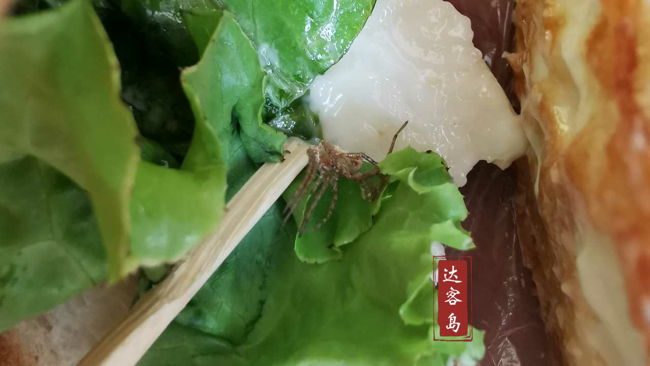 辽宁葫芦岛，吃饭吃出一只大蜘蛛，网友吐槽：还剩半只