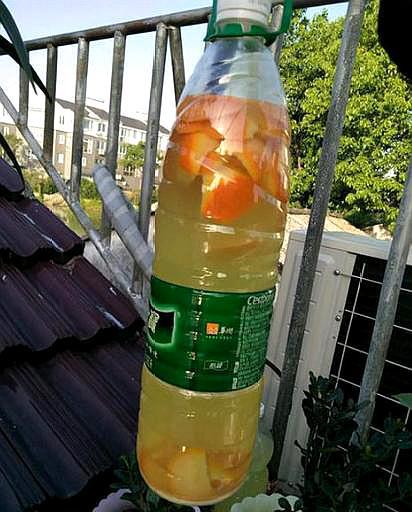 怎么做花肥效果好,自制花肥料花生壳