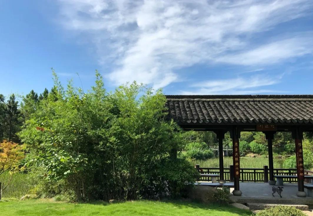 杭州最古老山峰，海拔仅有351米，景色却不输天目山