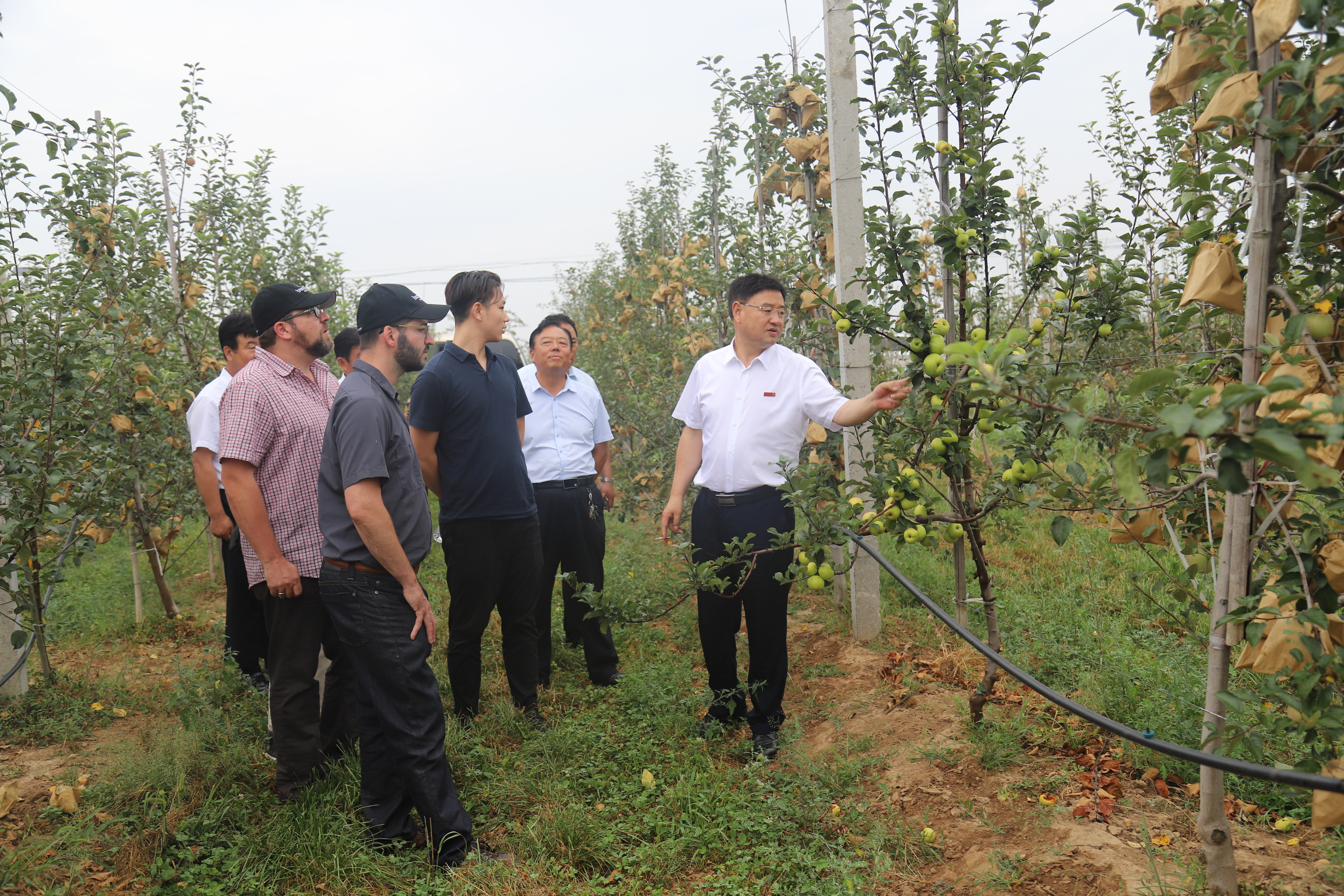 鍐滀笟浜т笟鎵惰传鍔╁姏鑴辫传鏀诲潥,褰窞铻嶈瘹闆嗗洟鍐滀笟鏈夐檺鍏徃