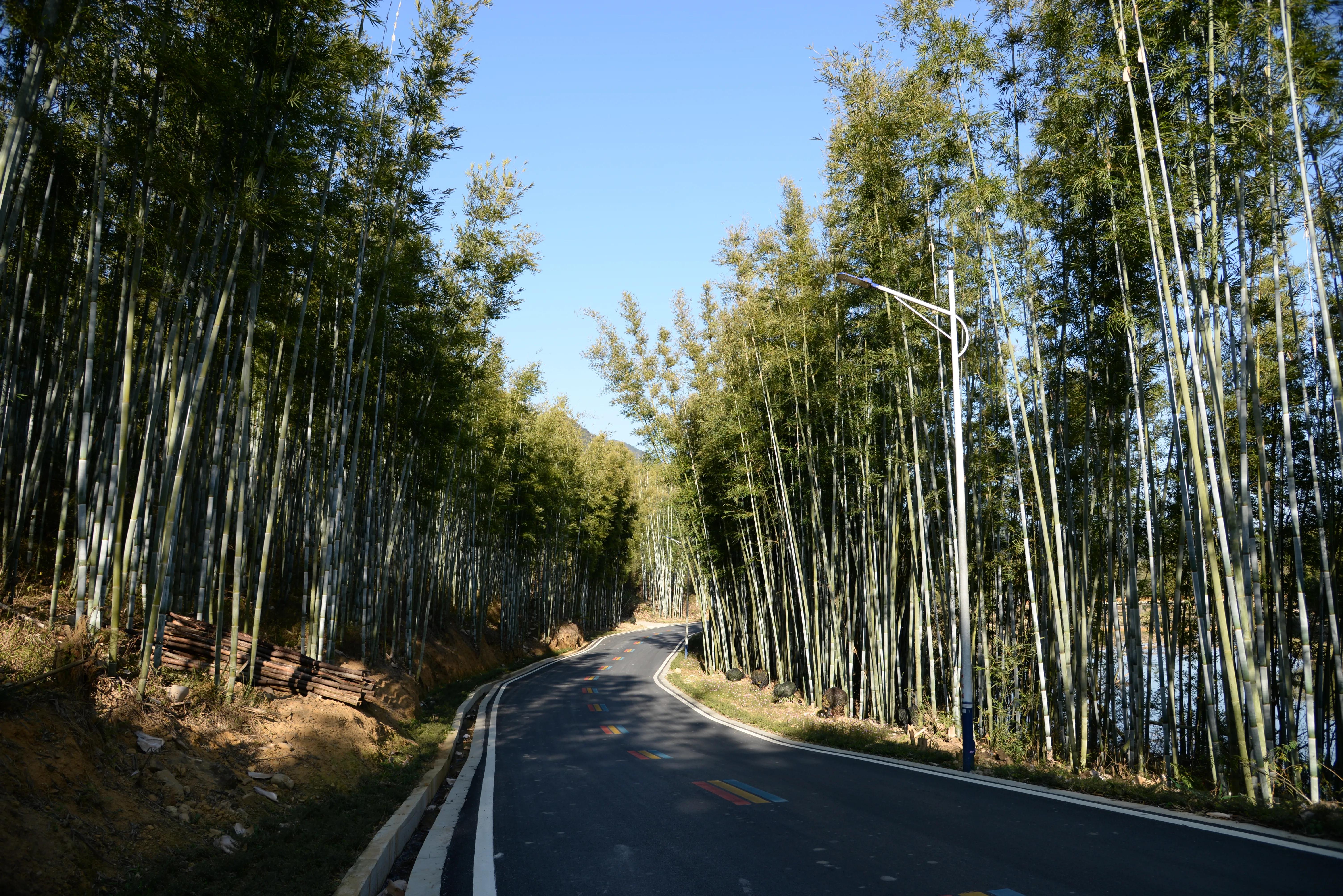 新丰云髻山,新丰云髻山枫叶红了吗