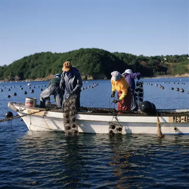 日本皇室罕见珠宝品牌,日本珍珠珠宝品牌有哪些