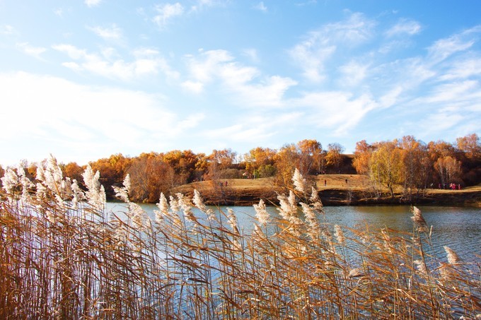 坝上乌兰布统的秋天完整版,乌兰布统坝上草原