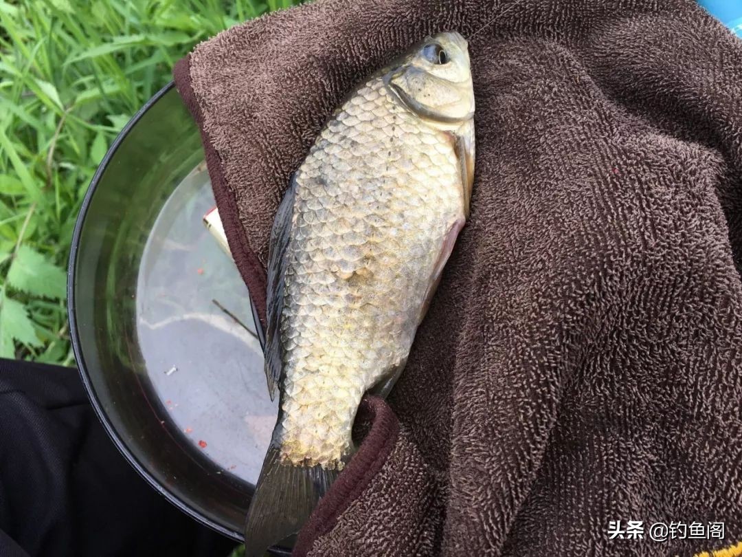 钓鱼的7大害处是什么,钓鱼的5个禁忌有哪些呢