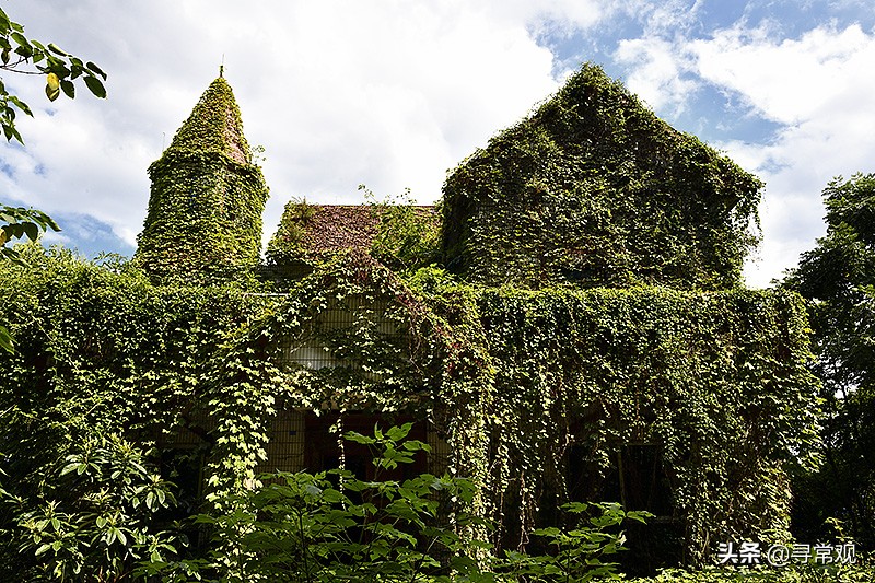 探秘重庆被人遗忘的废墟,被植物吞噬的小区