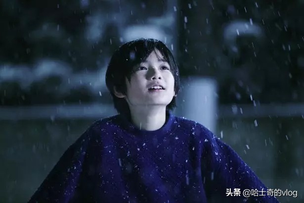 小偷家族解析,小偷家族故事解析