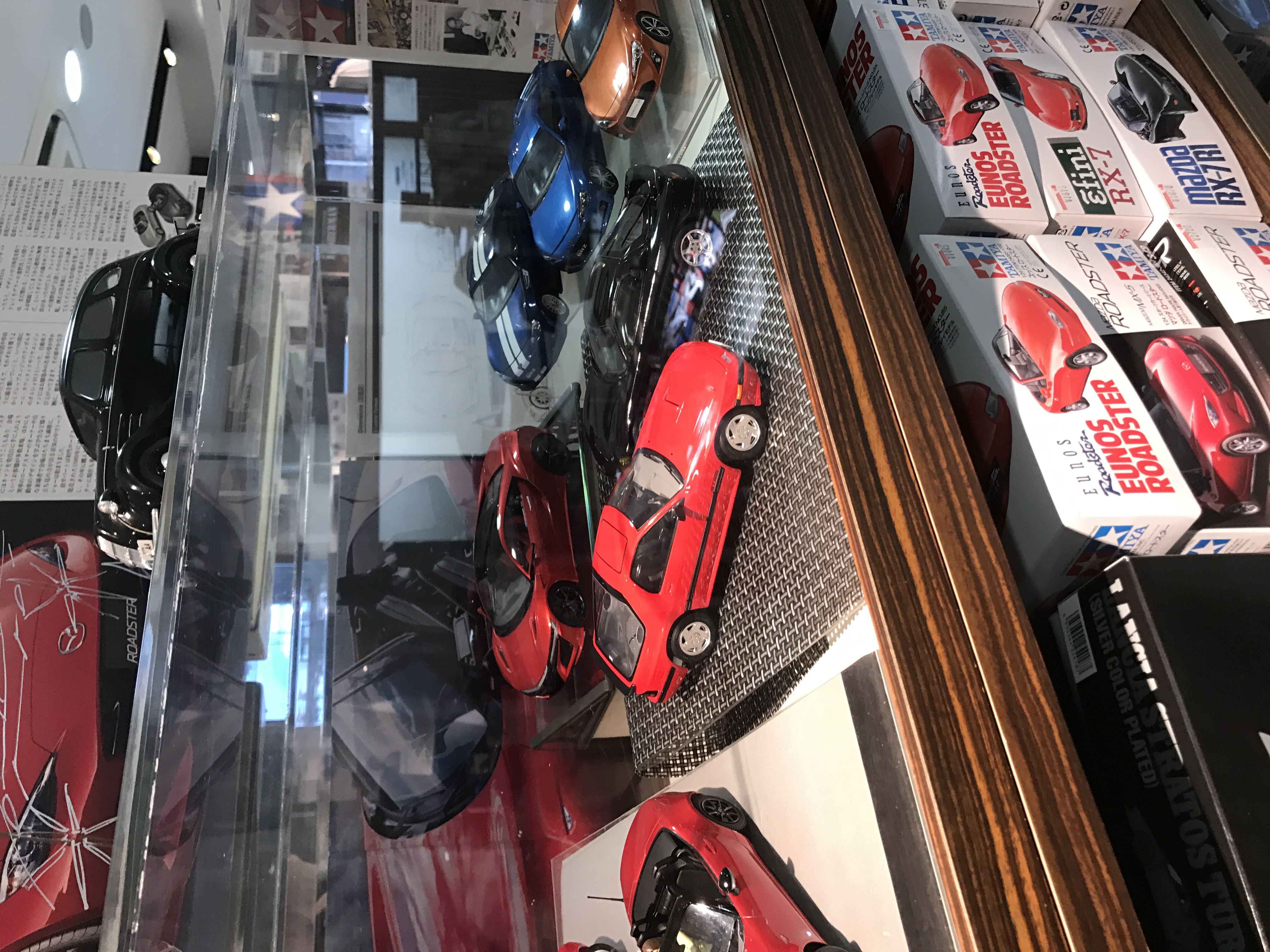 我的梦想之旅全集,我的梦想旅程