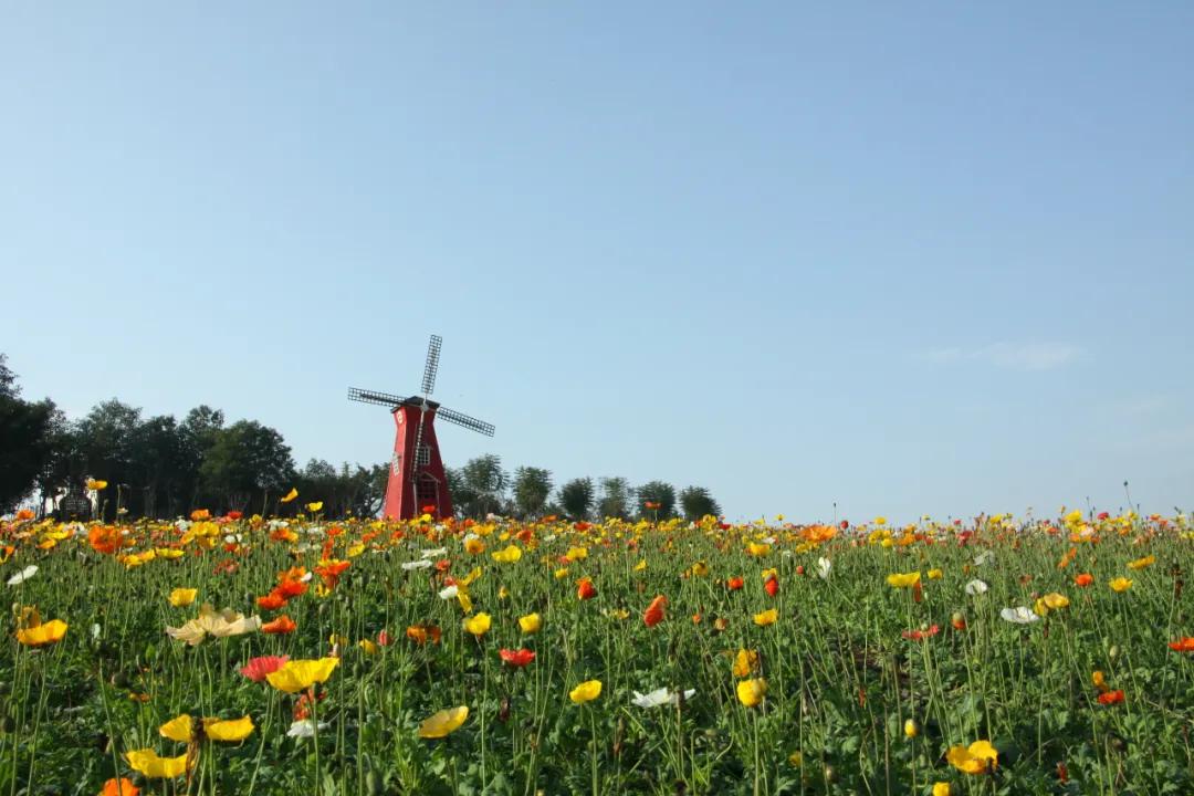 遂宁旅游十大必去景点,遂宁周边三天自驾游景点推荐
