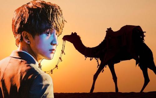 偌大的城市，我们都是骆驼