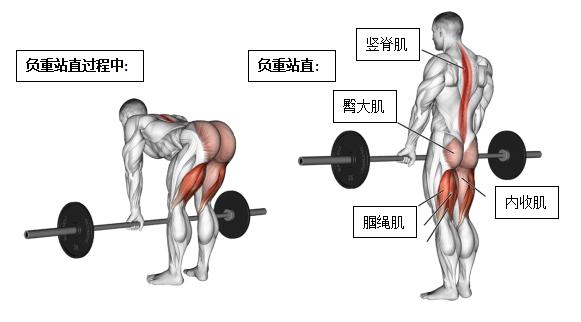 硬拉腰痛一般持续多久,硬拉后腰痛是怎么回事