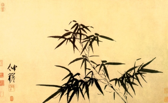 历代画论（连载38）元明：《画竹谱》,摘抄（元）李衎撰