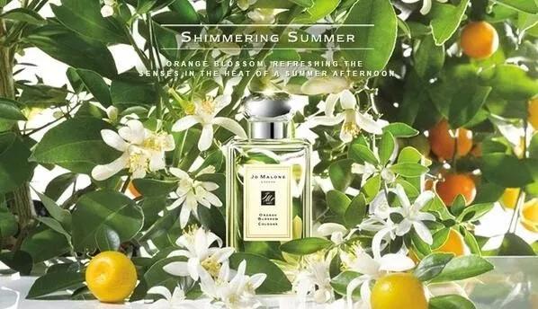 二次元少女适合什么香水,小清新少女适合什么香水