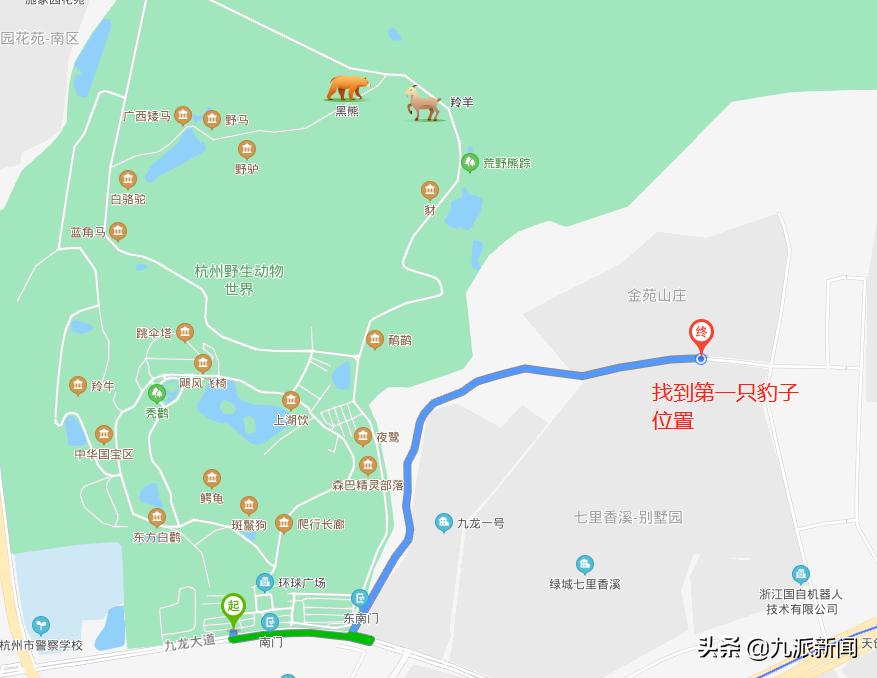 杭州动物园3只金钱豹逃脱,杭州3只金钱豹外逃