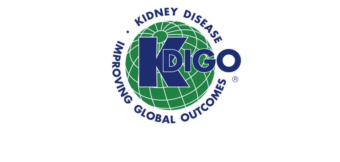 羟氯喹治疗iga肾病怎么样,羟氯喹治疗iga肾病原理