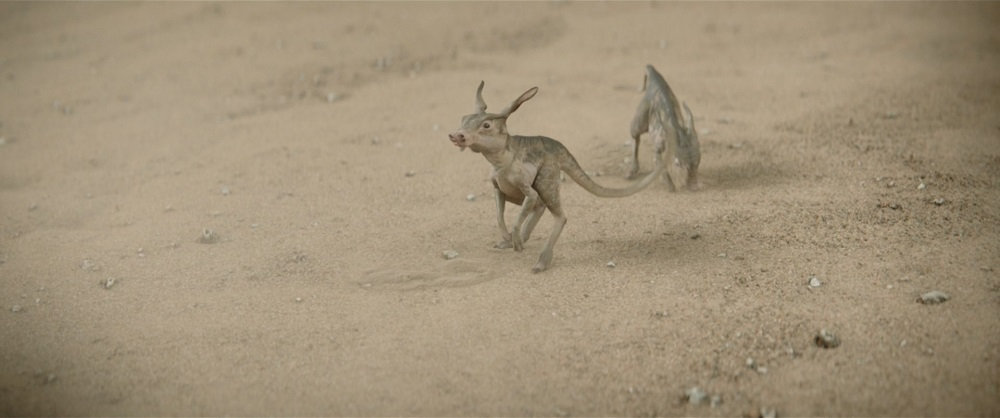 曼达洛人第二季全集详细解说,曼达洛人第二季警长女扮演者