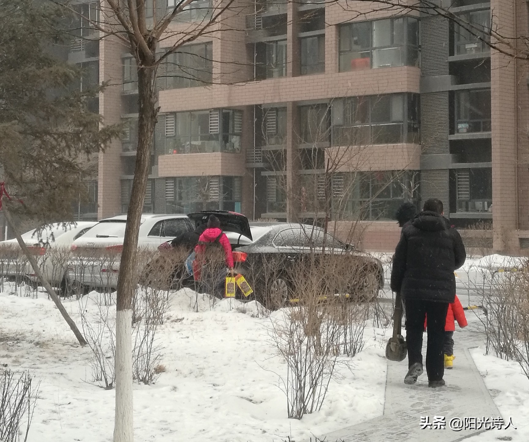 云雾缭绕青城山下,青城云雾弥漫