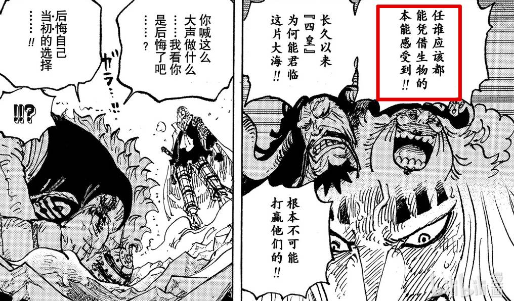 1031话海贼王全图,海贼王1031话分析