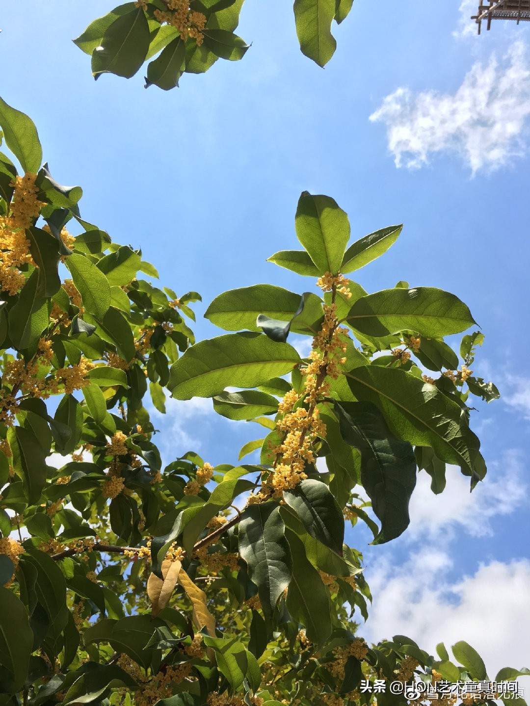 我们是时间旅行者寻找生命中的光,我们都是旅行者寻找生命中的光