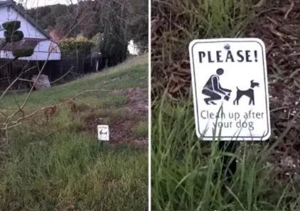 中国养狗的规矩,全国最严养狗条例