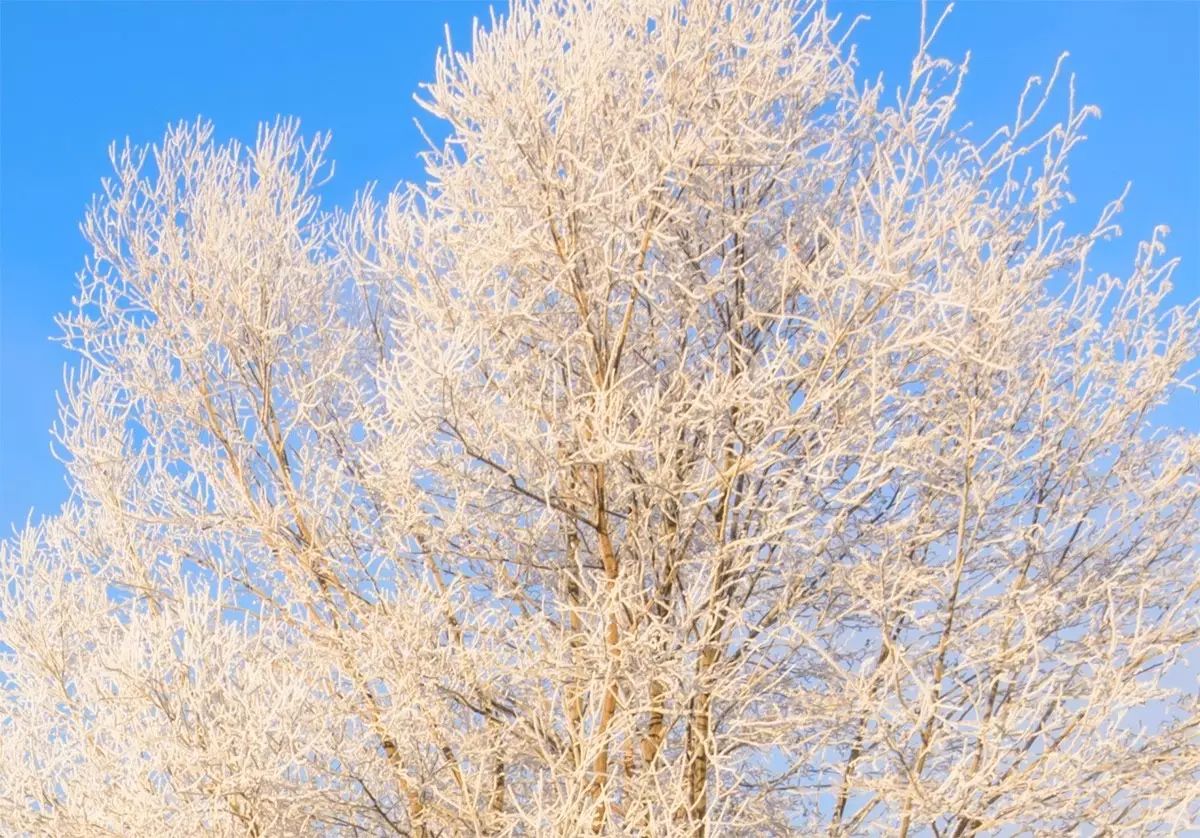 照片的画质也越来越清晰,照片画质不好怎么变清晰
