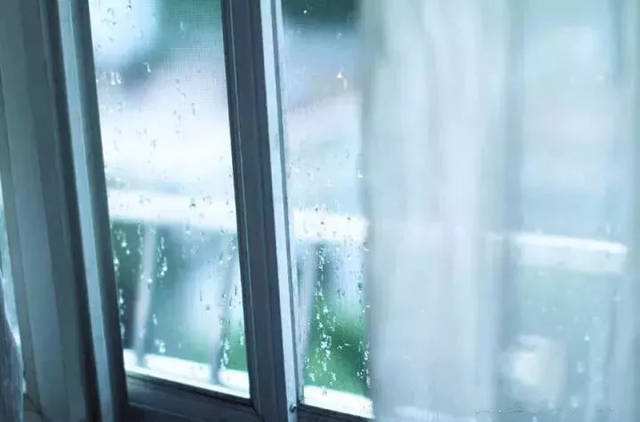 生活中细菌最常见,日常细菌小常识