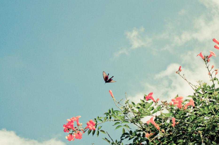 跟双子座无法沟通有代沟,和双子座最舒服的相处模式