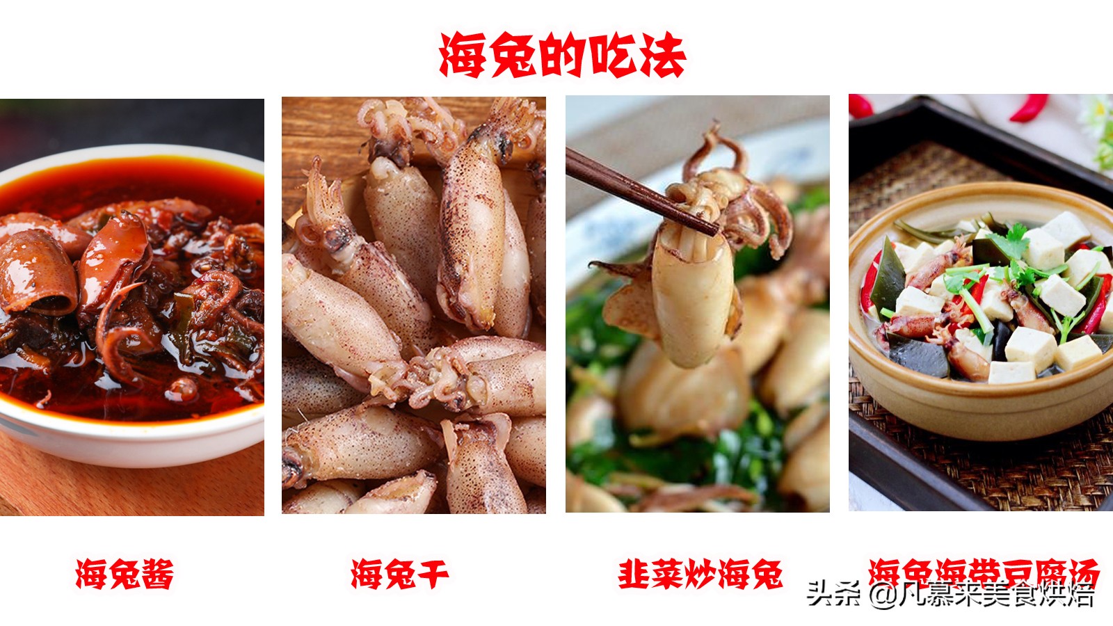 八爪鱼鱿鱼墨鱼海兔哪种好吃,鱿鱼海兔墨鱼八爪鱼区别