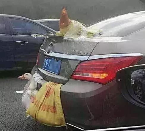 史上最严厉的判决,违停被罚3分200元是违法多少条