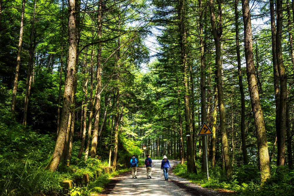 找个keyi治愈心情不好的地方.......