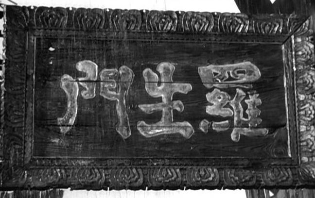 “加拿大鹅”罗生门：跨境电商与跨国品牌的摩擦从未间断