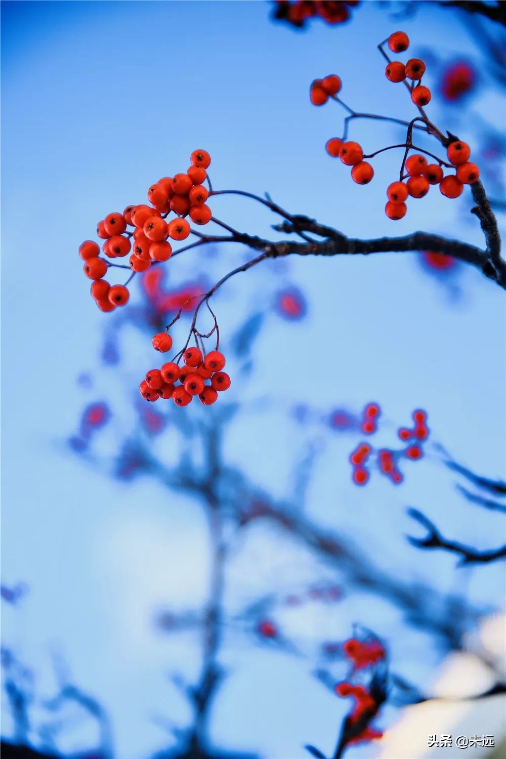 在日本坐新干线怎么坐划算,东京站到镰仓一日游最佳攻略