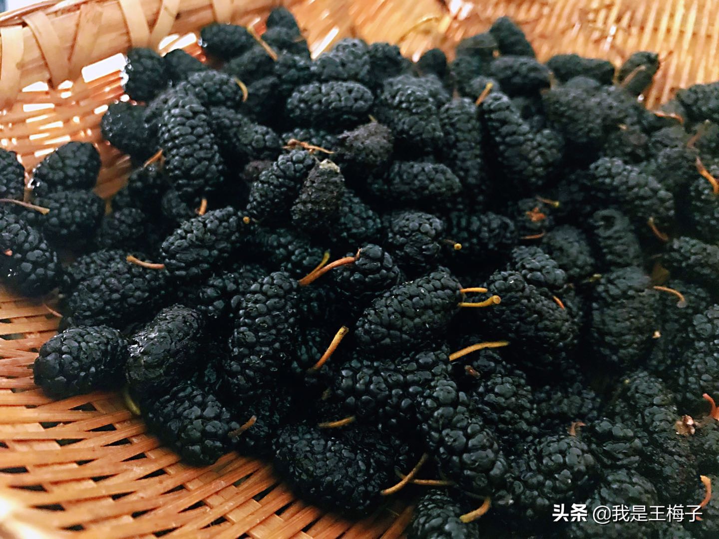 桑葚泡酒最正宗的做法,桑葚泡酒的制作方法和步骤