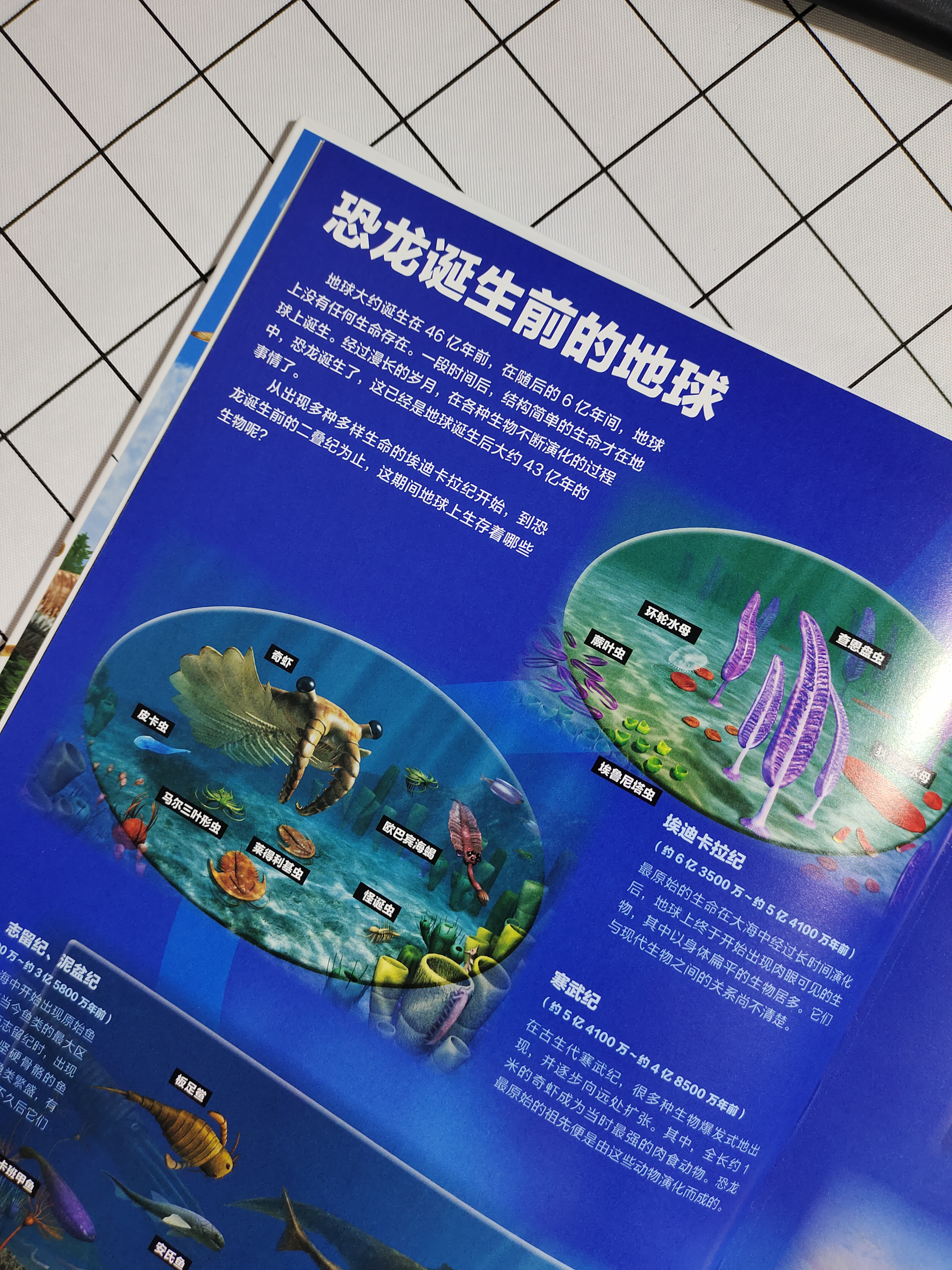 恐龙百科全书恐龙世界的无穷奥秘,世界上最全的恐龙百科全书