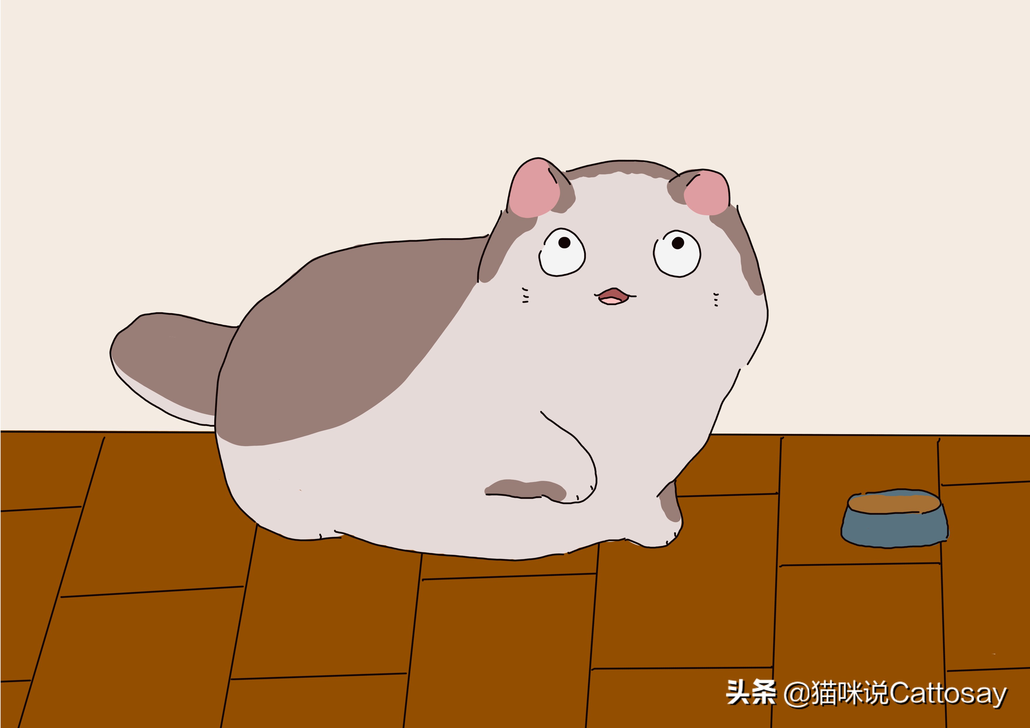 猫一天喂几次水最合适,猫一般喂几次正常一天