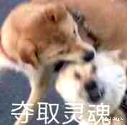 购物返利的正确方式,购物返利都有哪些