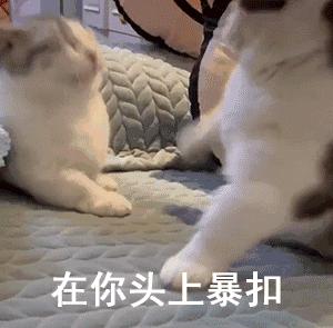 qq表情包套路表情包,表情包可爱动态图微信聊天表情包