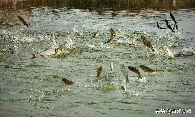 小本创业实战分析,创业营销引流技巧分享案例