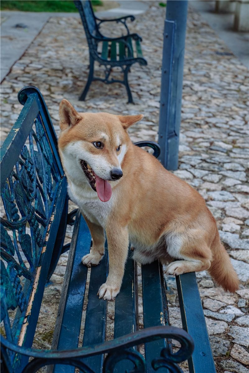 澳门最有名的景点大三巴,澳门必去景点之大三巴网红打卡地