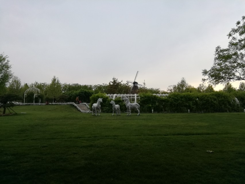 郑州树木园最新视频,郑州树木园现状