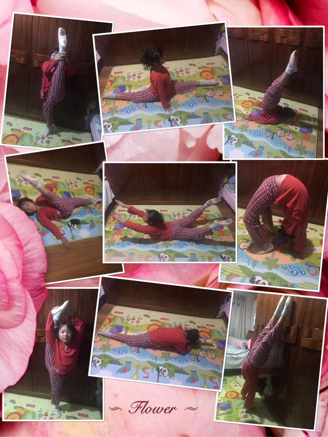 北京市芳城园小学:“项目式学习”战“疫”“延学”变“研学”