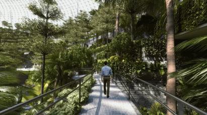 新加坡樟宜机场扩建第五航站楼,新加坡樟宜国际机场横屏