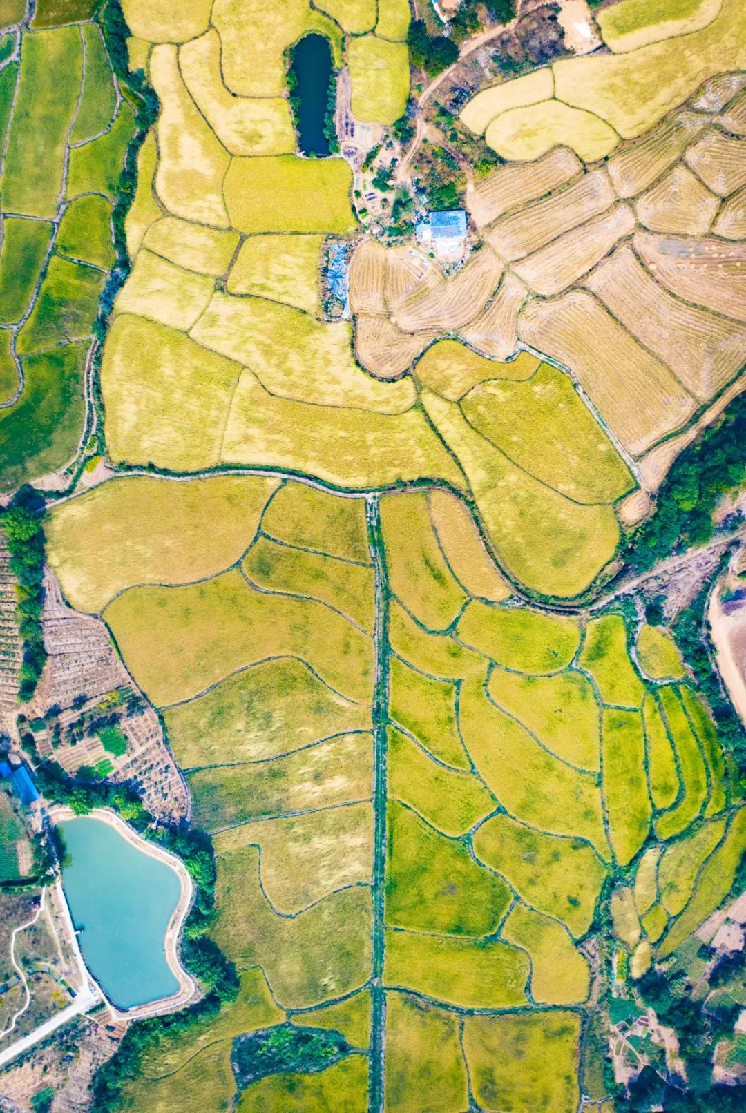 安徽人当兵猛不猛,安徽人正能量