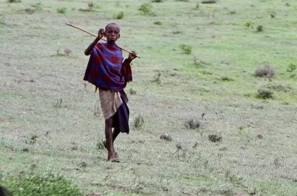 海哥带你游世界｜这周我们去非洲大草原看大西几！