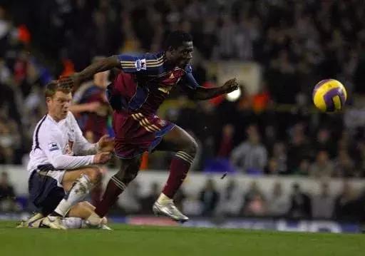 还记得马丁斯吗？那只在梅阿查和圣詹姆斯公园翱翔的雄鹰