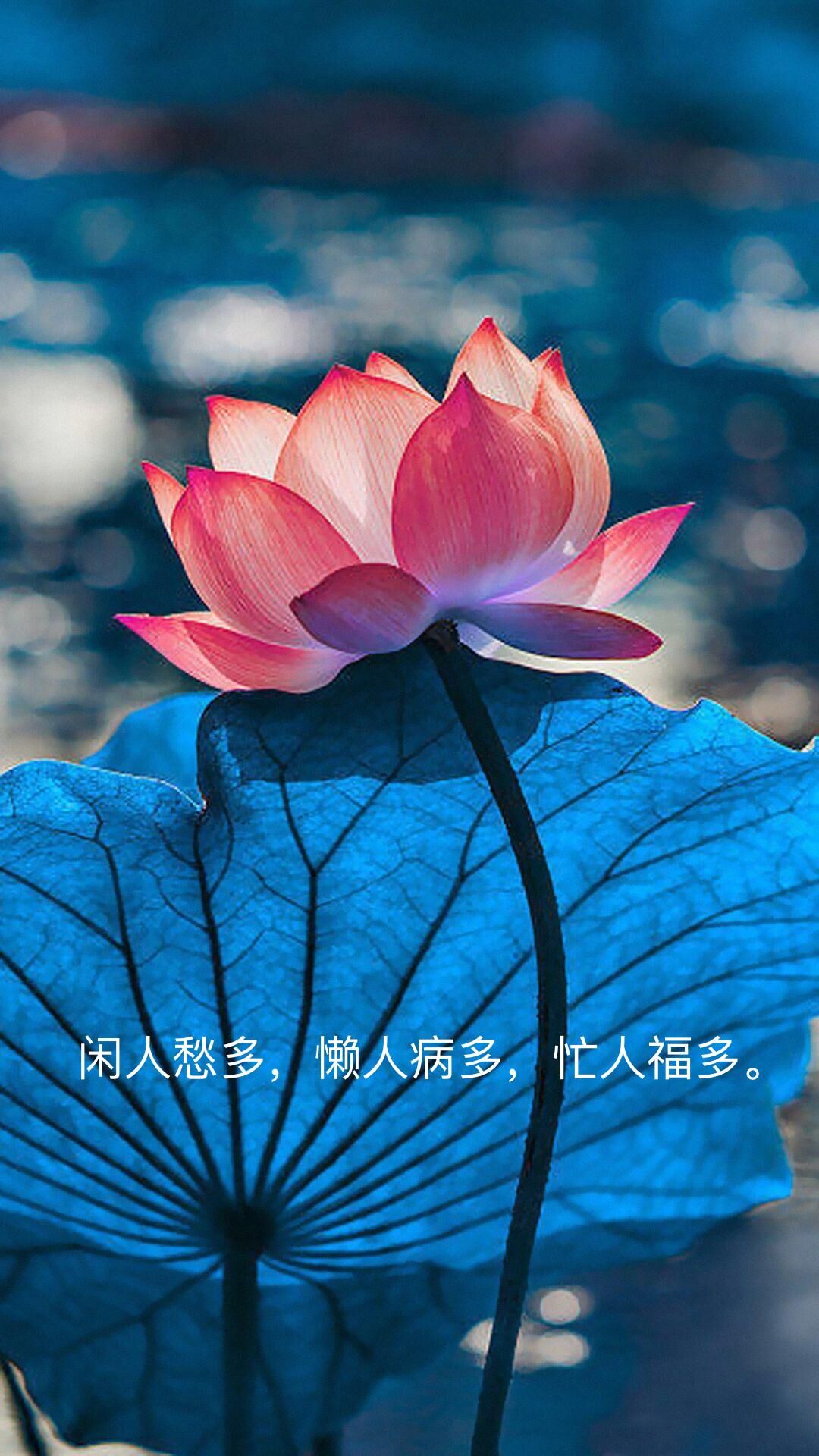 心中的神明,心中的神明作文