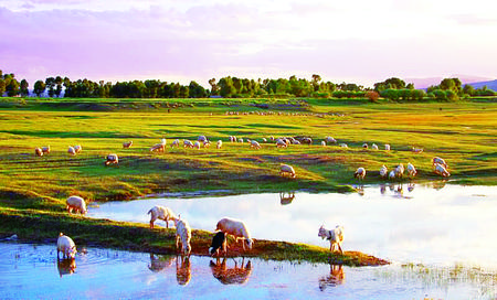 引得春风度玉关含义,引得春风度玉关讲的是谁