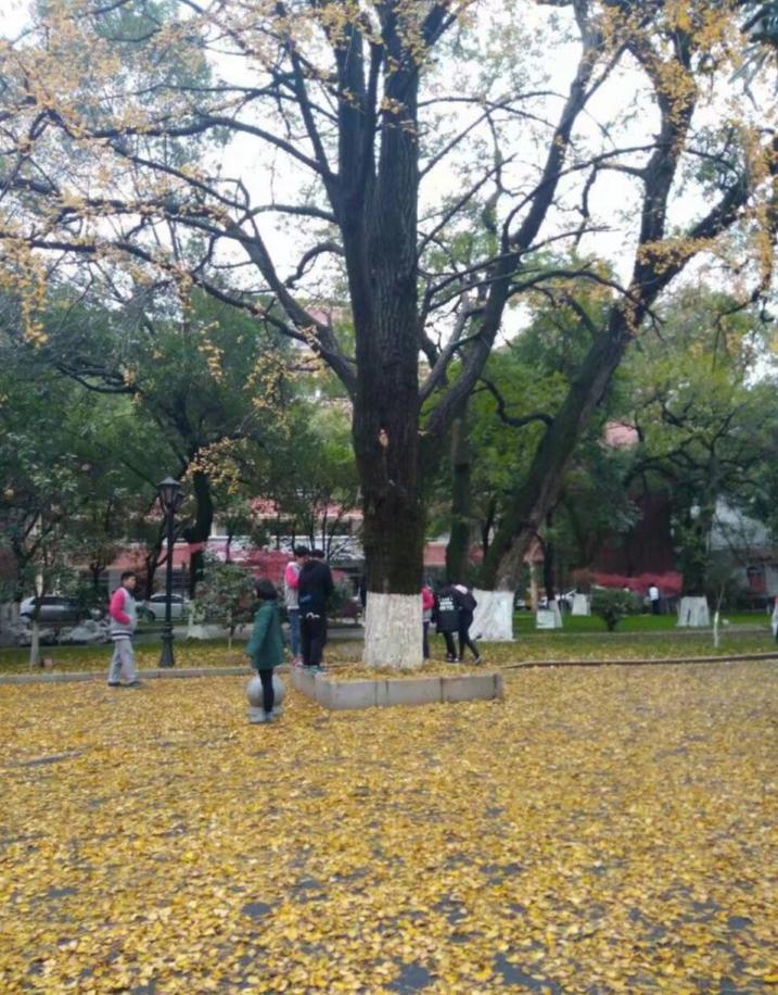 南昌中考成绩差有哪些高中可以读,南昌中考成绩不好读什么学校