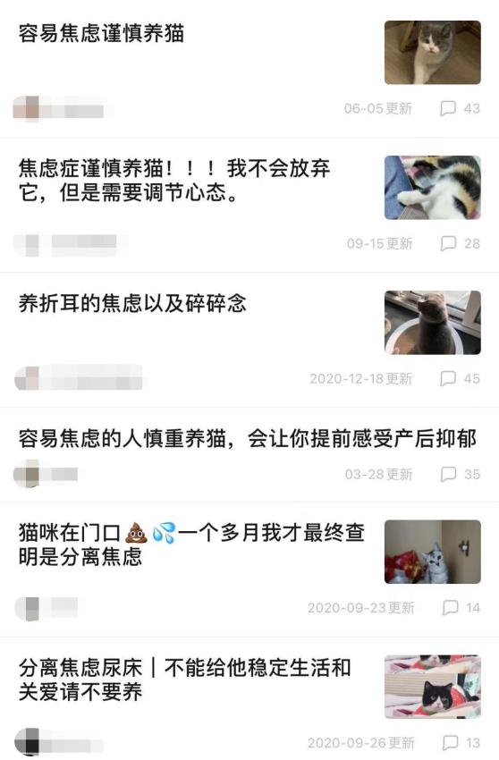 自从接了一只猫回家,突然养猫了很焦虑